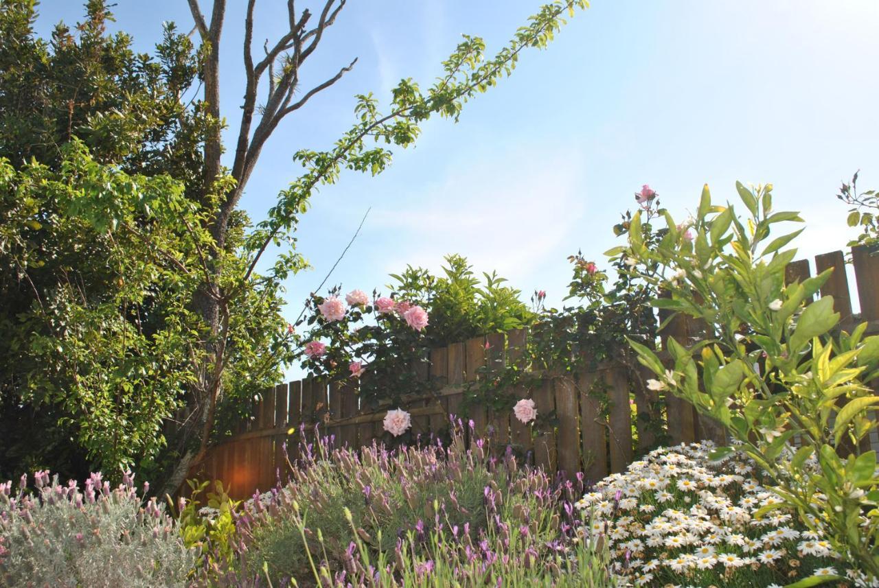 Wai O Taiki Bay B&B Auckland Exterior photo